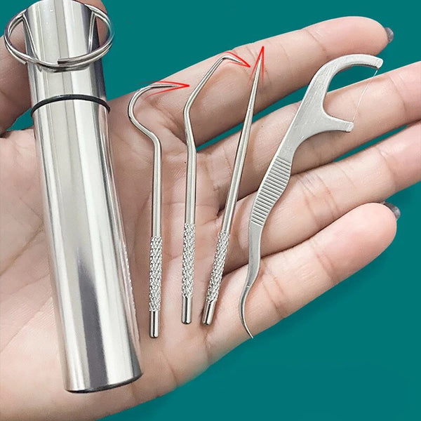 Stainless Steel Toothpick Set