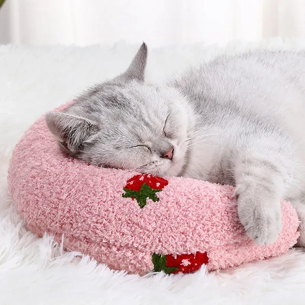 Cat Little Pillow